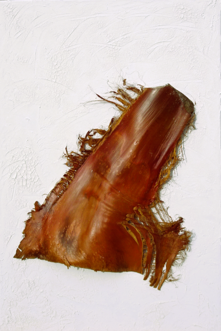 Beaut&eacute; de la Natur 01