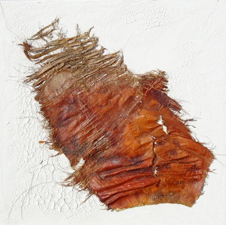 Beauté de la Natur 02